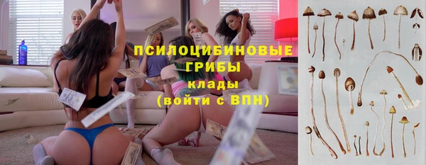 бошки Алзамай