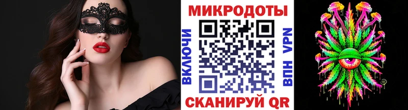 Псилоцибиновые грибы прущие грибы  Цоци-Юрт 